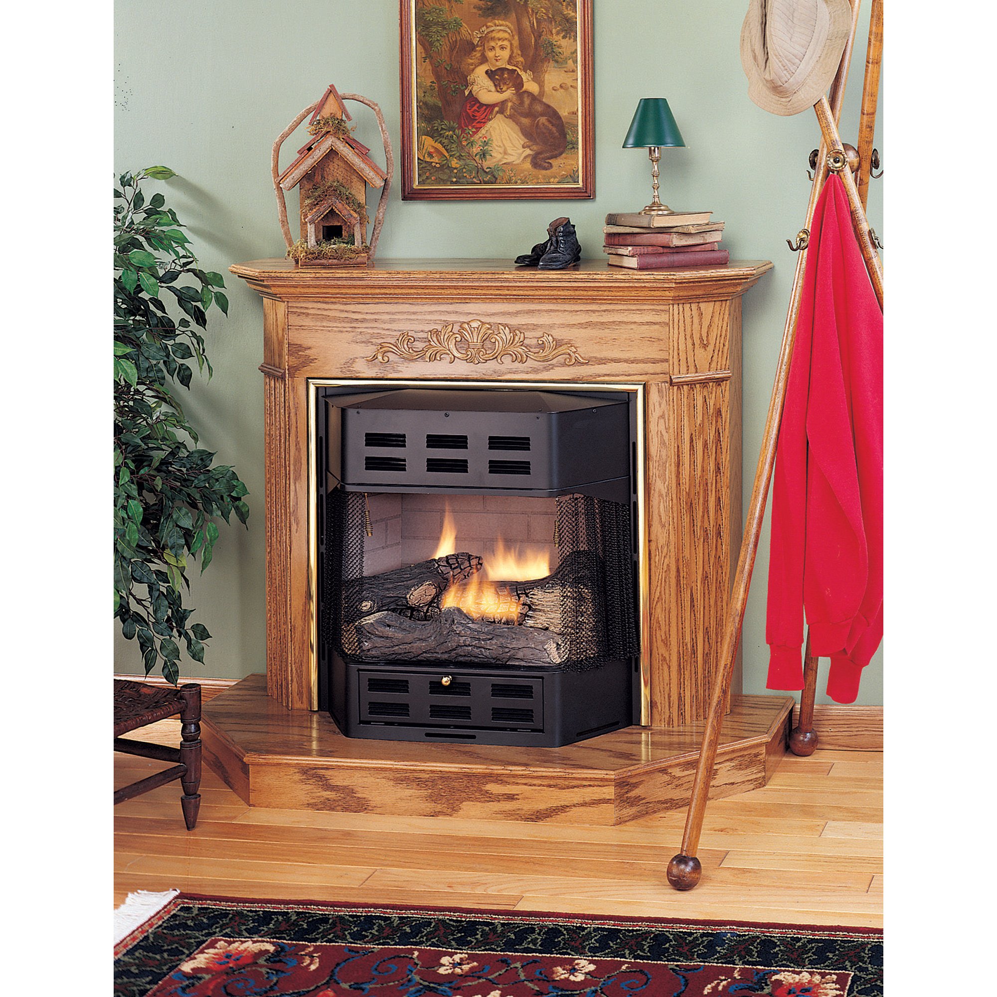 Natural Gas Bayfront Fireplace